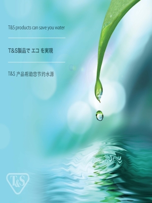 Asian Water Conservation Brochure