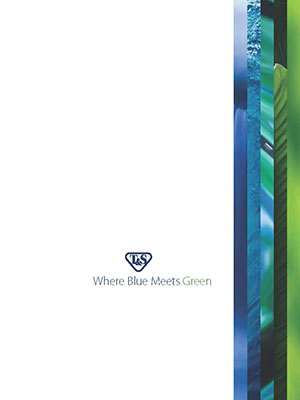 Where Blue Meets Green Brochure